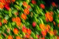 Abstract red green floral nature background ICM colorful softness