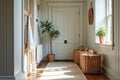 Bright entryway with wicker baskets and indoor plants in a cozy home Royalty Free Stock Photo