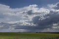 Bright epic thunderstorm landscape in early spring with dark blue fluffy clouds in sunlights above green juicy pasture in motion. Royalty Free Stock Photo