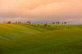 Bright evening Tuscany landscape