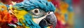 Bright exotic tropical bird parrot