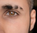 Bright eye look , Eyebrow with scar, Sharp Brown Eye, close-up man eye