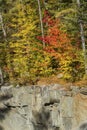 Bright fall foliage above cliffs of Coos Canyon, Byron, Maine.