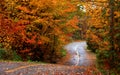 Bright fall foliage along scenic biking trail Royalty Free Stock Photo