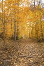 Bright fall foliage in Cuyahoga Valley National Park in Ohio