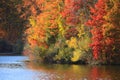 Bright fall foliage in rural Michigan