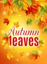 Bright fall poster with warm sunshine, autumn maple leaves, inscription, the effect of the sun glow. Vector