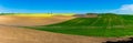 Bright farmland panorama. Colza field, cultivated area concept