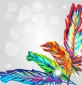 Bright feathers Royalty Free Stock Photo