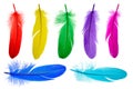 Bright feathers background Royalty Free Stock Photo