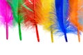 Bright feathers background Royalty Free Stock Photo