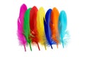 Bright feathers background Royalty Free Stock Photo