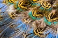 Bright feathers background Royalty Free Stock Photo