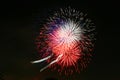 Colorful Red Fireworks in the Night Sky