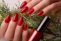 Bright festive red manicure on female hands. Nails design Royalty Free Stock Photo