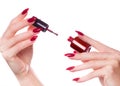 Bright festive red manicure on female hands. Nails design Royalty Free Stock Photo