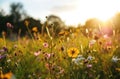 a bright field with flowers in the background