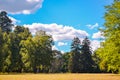 Bright Field meadow trees pine trees sky clouds copy space