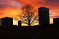 Bright fiery red sunset and silhouettes of a tree