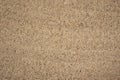 Bright fine-grained sandy texture, natural structure Royalty Free Stock Photo