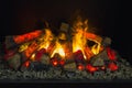 Bright fire burns in a fireplace Royalty Free Stock Photo