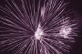 bright firework burst against darkviolet sky Royalty Free Stock Photo