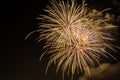 Bright Fireworks against Night Sky Royalty Free Stock Photo