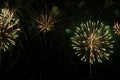 Bright fireworks with a green glowing center with green sparks and smoke, against the background of the night sky Royalty Free Stock Photo