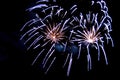 Bright fireworks scattering of sparks of blue color.