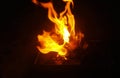 Bright Flame of Fire Burning Dry Leaves at Night Royalty Free Stock Photo