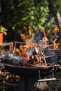 Bright flames of burning branches in the grill Royalty Free Stock Photo