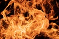 Bright flames devour the wood. Royalty Free Stock Photo