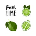 Bright, flat style Lime Fruit illustration.