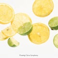 Bright Floating Citrus Symphony: Lemon and Lime Slices on White Background AI-GENERATED Royalty Free Stock Photo