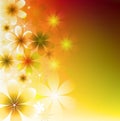 Bright Floral Background