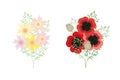 Bright floral bouquets of poppies, daffodils on a white background without stroke Royalty Free Stock Photo