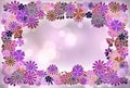 Bright floral frame Royalty Free Stock Photo