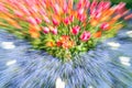 Bright Floral Impressionist Abstract In Zoom Blur