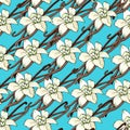 Bright floral pattern of white flowers on a blue background. Vector illustration of tropical flowers, vanilla, orchid Royalty Free Stock Photo