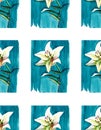 Bright floral spring pattern of white lilies on blue background watercolor Royalty Free Stock Photo