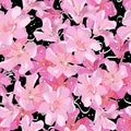 Bright Floral Vector Seamless Pattern With Many Hand Drawn Abstract Pink Oleander Flowers On Black Background.