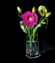 Bright flower bouquet in glass vase Royalty Free Stock Photo