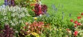 Bright flowerbed and lawn. Wide photo Royalty Free Stock Photo