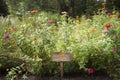 Lauritzen Gardens, Omaha, Nebraska, pollinator garden