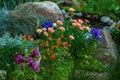 Flowers blooming on flowerbed, flower garden layout ideas