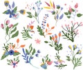 Bright flowers and colorful leaves, berry. Floral collections. Magical illustrations for your as creating card, banner