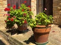 Bright flowers in flower pots in Tuscany, Italy. Italy yard flowers view. Summer day. Royalty Free Stock Photo