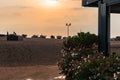 Tossa de Mar, Spain, August 2018. A magnificent flowering bush on the background of the beach and sunset sky.