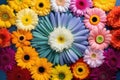 bright flowers organized into a color wheel formation