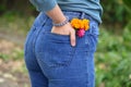 Bright flowers in pocket blue jeans of young woman , close-up Royalty Free Stock Photo